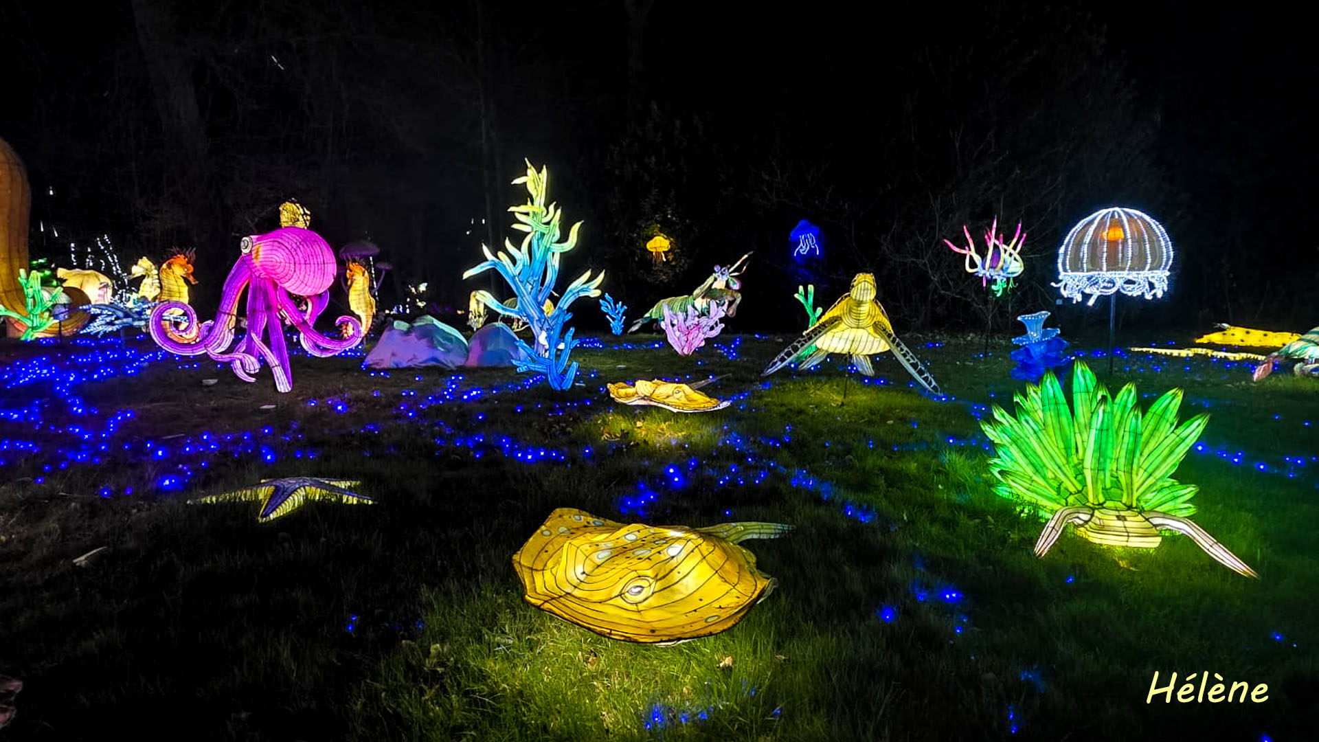 THOIRY -Illumination ,  Lumières sauvages 2025-2026